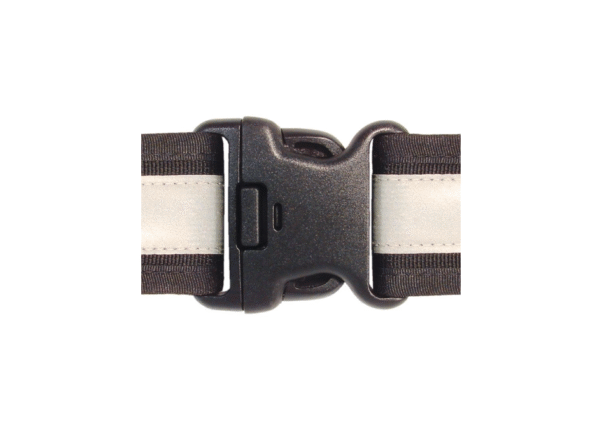 Buckle atsarginė sagtis - Image 2