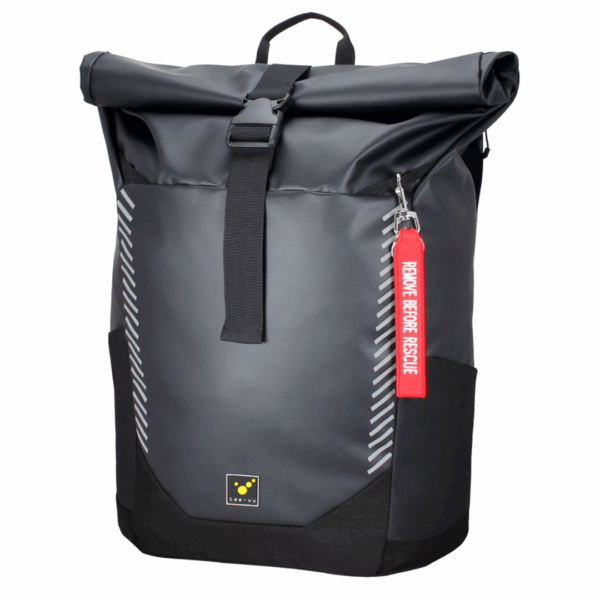 Carobag1