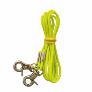 Elastinė