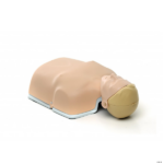 Manekenas Little Anne light nuoma