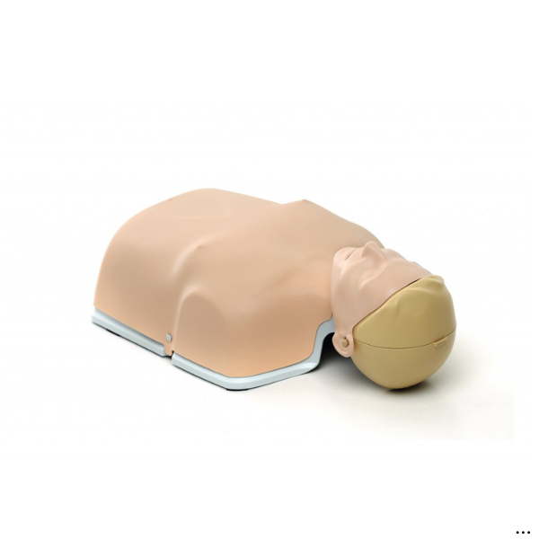 Manekenas Little Anne light nuoma